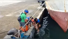 Jóvenes arriesgan su vida para rescatar a un perro callejero que sufrió grave accidente en el mar [VIDEO]