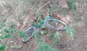 Hallan cabeza descompuesta colgada de un árbol junto con cadáver descuartizado [FOTOS]