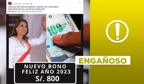 No, el Bono Alimentario no brinda un apoyo económico de 700 y 800 soles