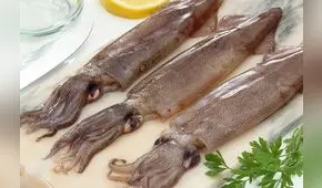 Produce: China autoriza reingreso del calamar exportado desde el Perú