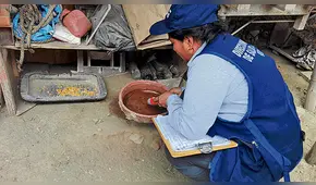 Casos confirmados de zika ascienden a 15 en Piura