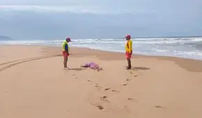 Tacna: Salvavidas recuperan cuerpo de veraneante desaparecida en la playa de Ite 