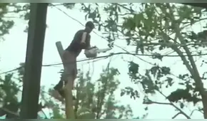 YouTube: Hombre se cortó el cuello con motosierra cuando limpiaba restos de huracán Irma