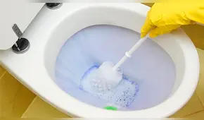 ¿Mal olor en tu baño? Aprende cómo eliminar esos aromas desagradables