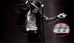 Twitter: captan a paloma haciendo el 'moonwalk' de Michael Jackson [VIDEO]