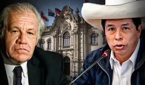 Luis Almagro: “Fue Pedro Castillo quien violó la tregua y no abrió espacio al diálogo político”