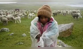 Temperatura nocturna llegaría a los 19 grados bajo cero en el sur 