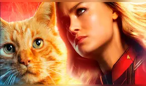 Capitana Marvel: Primeras impresiones afirman que 'Goose' es la verdadera estrella