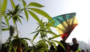 Chile marcha por la despenalización del autocultivo de marihuana [FOTOS]