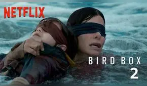 Bird Box 2: ¿qué pasó con Malorie? Secuela de Netflix ya está en desarrollo [VIDEO]