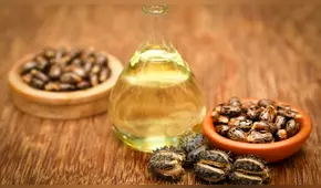 Aceite de ricino: beneficios, uso y contraindicaciones de la ricina
