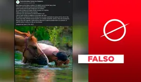 Es falso que los caballos nunca tomen agua mala o contaminada