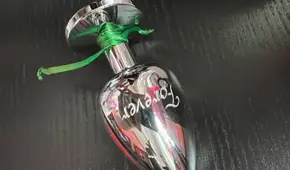 Una mujer fue detenida por llevar las cenizas de su novio en un juguete anal en un aeropuerto