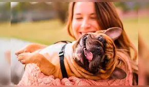 Estas son las señales con las que tu perro te demuestra que te ama