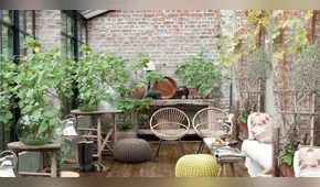 Razones por las que debes decorar con plantas y flores tu oficina