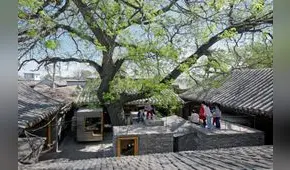 ¿La arquitectura debe tener armonía con la naturaleza?