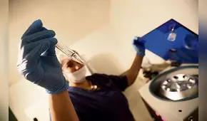 Mamás de laboratorio 