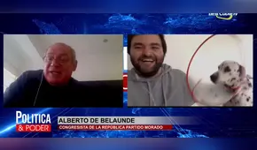 Congresista Alberto de Belaunde es interrumpido por un perro en plena videoconferencia [VIDEO]