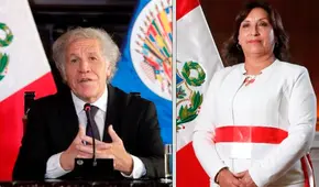 Luis Almagro, secretario general de la OEA, felicitó a Dina Boluarte, nueva presidenta del Perú  
