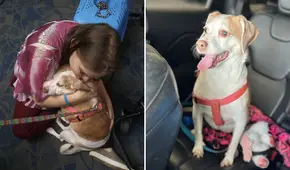 Tuvo que dejar a su perrita en el aeropuerto porque no entraba en su jaula: “Es demasiado triste”