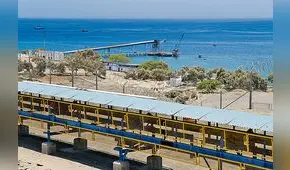 Especies marinas disminuyeron en 40% ante aparente contaminación