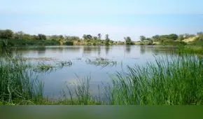 Día de los Humedales: ¡No hay nada que celebrar!