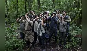 Global Big Day 2017: todo el Perú por el tricampeonato