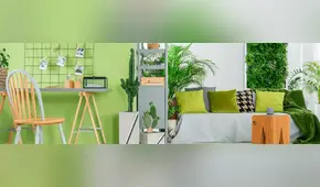 Verde: Elige este color para la decoración de tu casa o departamento