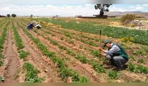 Minagri crea grupo de trabajo para implementar Ventanilla Única de Servicios Agrarios