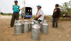 Ganaderos rechazan norma que dispone requisitos para la leche