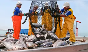 Cámara Peruana del Atún: “El ISC le resta competitividad a las flotas atuneras”