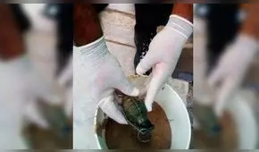 Tumbes: encuentran una granada de guerra en Zarumilla