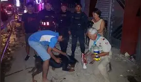 Rescatan mascota de entre los escombros de casa que se derrumbó por las lluvias| VIDEO