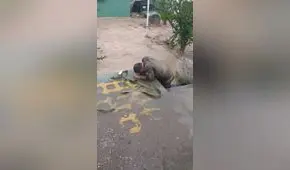 sobreviviente de huaico: "Esta tragedia estaba pronosticada desde hace mucho tiempo"