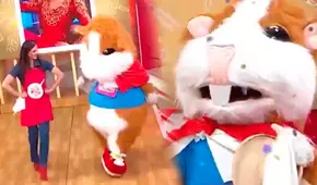 ¿Traicionó a Magaly? Cuy de “EBDT” reaparece junto a Ethel Pozo en programa de América TV ¿Traicionó a Magaly? Cuy de “EBDT” reaparece junto a Ethel Pozo en programa de América TV