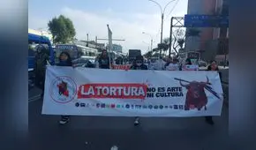 Corrida de toros: ¿qué se necesita para penalizarla en Perú?