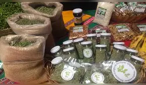 Hierbas aromáticas de Arequipa con gran demanda en Europa