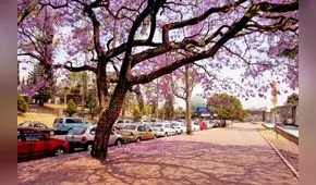 Clima en México: revisa el pronóstico del tiempo para hoy viernes 17 de abril de 2020 