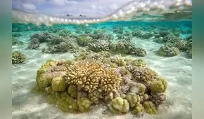 ¡Terrible amenaza a una joya del Amazonas!