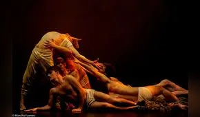 “Son”, la pieza coreográfica que muestra el universo de la creación desde el punto del artista 