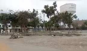 SMP: reclaman falta de riego en áreas verdes en parque 