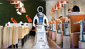 Un equipo de robots atiende a clientes en restaurante holandés ante pandemia de COVID-19