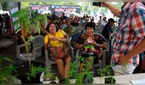 Tailandia celebra gran fiesta de marihuana tras legalización para uso médico [FOTOS]