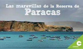 Programa de monitoreo ambiental protege la Bahía de Paracas