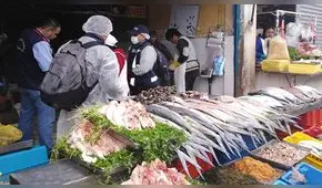 Arequipa: Decomisan 25 kilos de pescado malogrado en mercados del Avelino Cáceres 