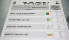 Elecciones 2020: ¿Cómo votar este domingo 26 de enero?