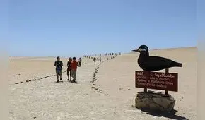 ¿Paracas en estado de emergencia turística?