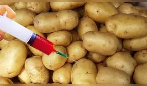 Transgénicos: Congreso promulgaría ley de moratoria este martes