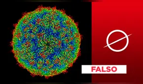 Es falso que joven homosexual presentó el primer caso de dengue por transmisión sexual