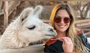 ¿Diego Boneta quiso sorprender a enamorada? Actor se come un erizo en Chile